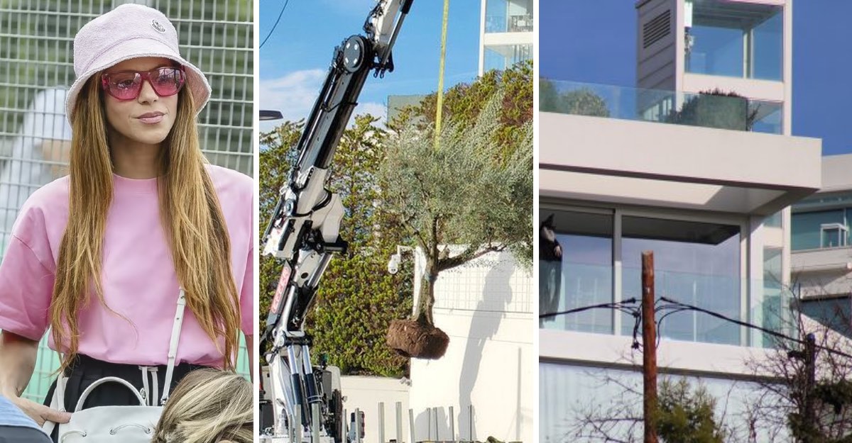 Shakira se lleva hasta un árbol en su mudanza de Barcelona a Miami