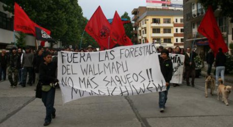 Incendios forestales y crisis hídrica centro sur Chile: ¡No más plantaciones de pinos y eucaliptus!