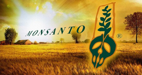 8 formas con las que Monsanto destruye tu salud