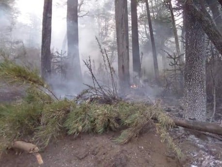 Incendio que afecta a China Muerta y Conguillío sigue descontrolado