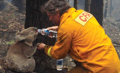 Las 10 Fotos VIRALES que más conmovieron al mundo