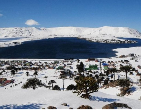 La maravillosa Ruta del Pehuén