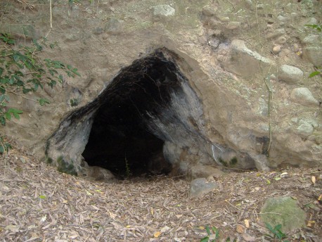 Se aisló 25 años en un desierto. Lo que ahora muestra dentro de su cueva te cortará la respiración