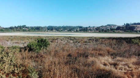 Vecinos acusan que agua de laguna El Peral de El Tabo es saqueada por Centro Turístico