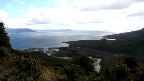 ¿Quieres vivir en la zona austral de Chile? Municipio está regalando parcelas