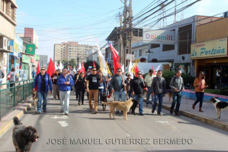 atacama_marcha