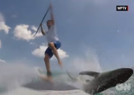 Este surfista grabó el momento en que chocó contra un tiburón