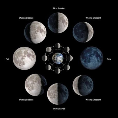 Cómo cultivar teniendo en cuenta las fases lunares