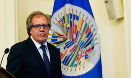 luis almagro