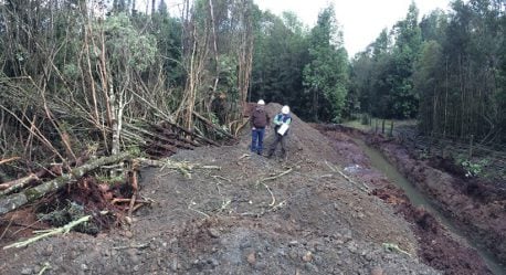 Tercer Tribunal Ambiental autoriza detener taller de redes en protección de sitio arqueológico Monteverde en Puerto Montt