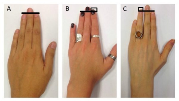 Descubre Lo Que Dice El Tamaño De Tus Dedos índice Y Anular Sobre Tu