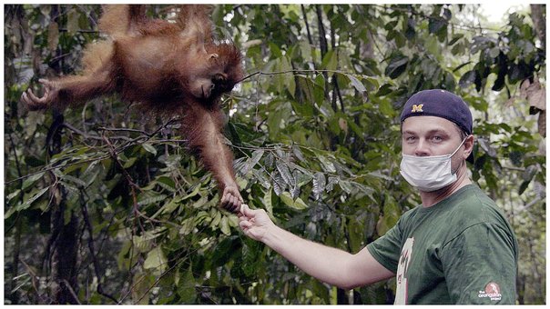 Ya Puedes Ver Online El Documental Antes Que Sea Tarde De Natgeo Y Leonardo Dicaprio 