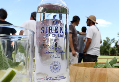 Chile se convierte en productor de vodka Premium gracias a la papa chilota