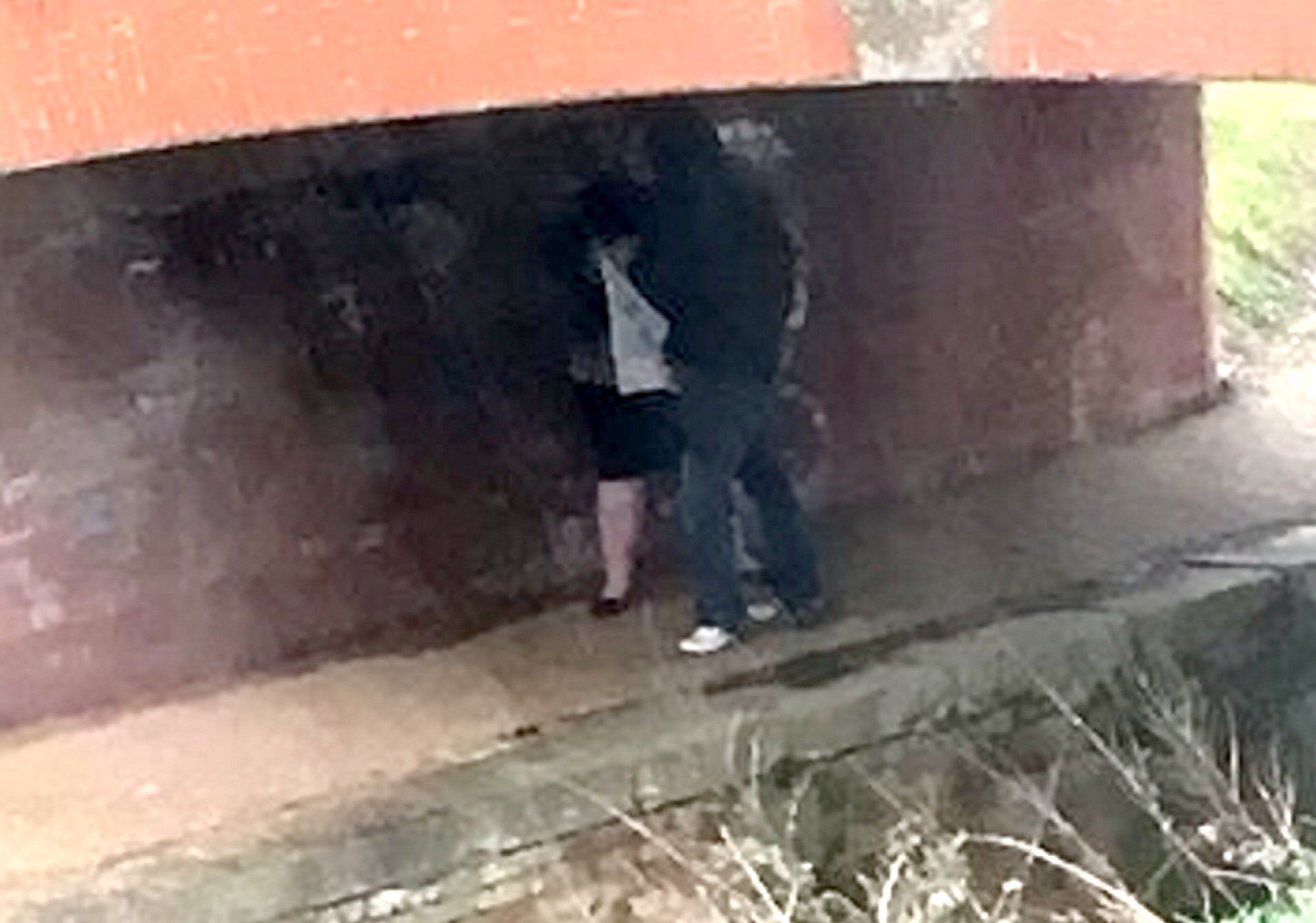 Madre asqueada toma fotos de pareja teniendo sexo bajo un puente frente a  su ventana y las vuelve viral