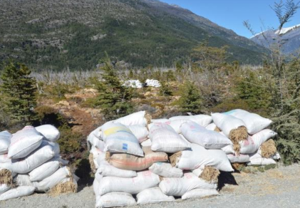 Extrayendo el musgo de las turberas de Aysén: Una peligrosa tierra de nadie