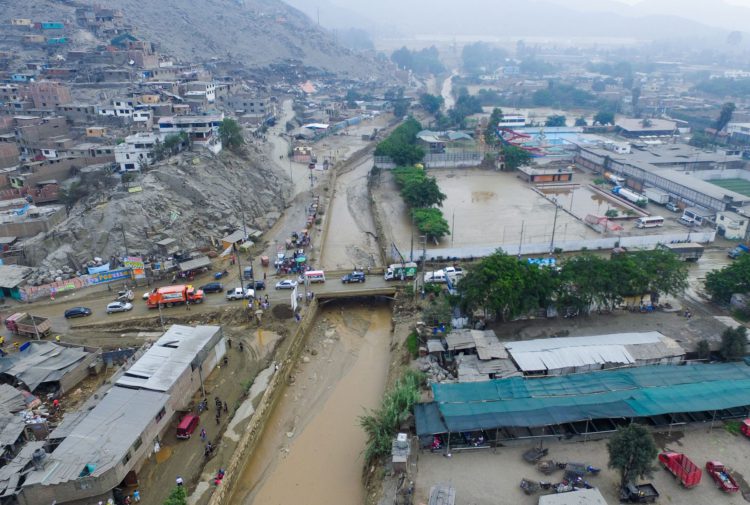 Perú Más de 10.000 árboles crecen en zona desértica tras inundaciones