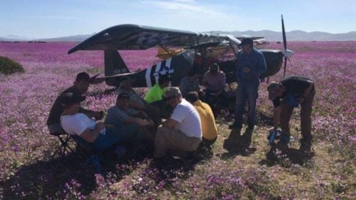 No hay caso: avionetas aterrizan en Desierto Florido para almorzar y el jefe de SQM estaría entre ellos