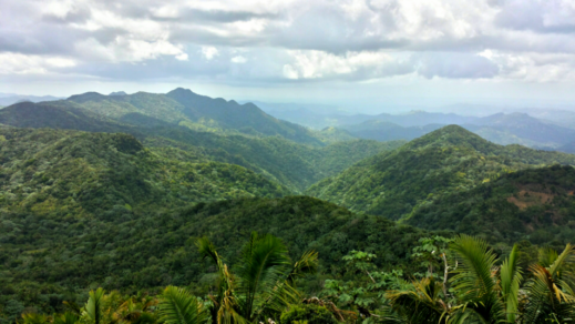 Ecuador: Postulan al Chocó Andino de Quito como reserva de la biosfera de Unesco