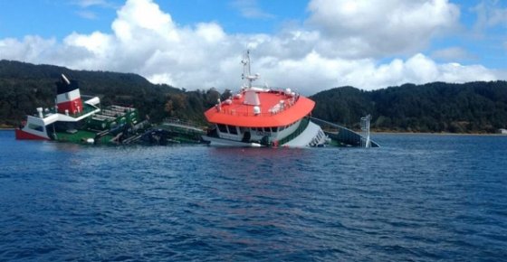 Greenpeace llama al Gobierno a cancelar permisos a Salmones Camanchaca