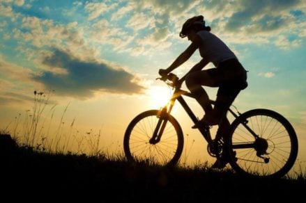 Estudios demuestran que el ciclismo mejora el sistema inmune y la salud emocional