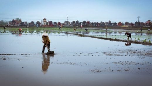 ¿Cómo frenar el uso de fertilizantes a base de nitrógeno?