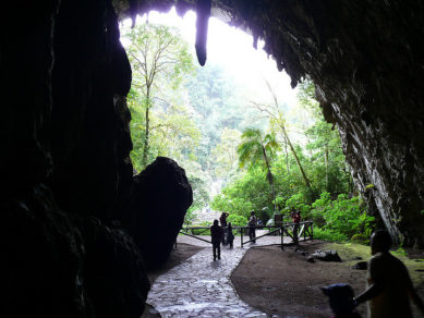 La Cueva del Guácharo de Venezuela, un templo de aves en El Caribe