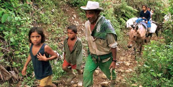 (Video) Policía colombiano se niega a desalojar a campesinos del Cauca