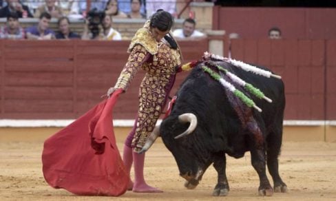 toros