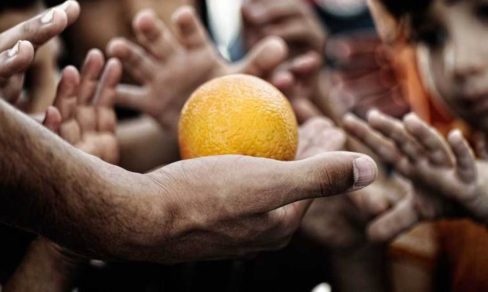 Riesgo alimentario por cambio climático llegaría a 900 millones de personas