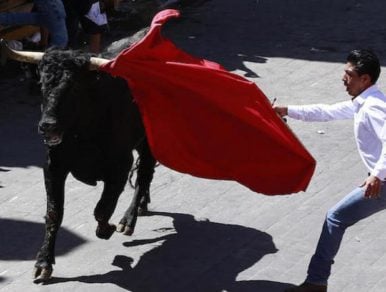 tauromaquias