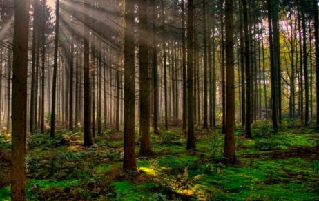 PNUD apuesta a los métodos más tradicionales para luchar contra los gases invernadero