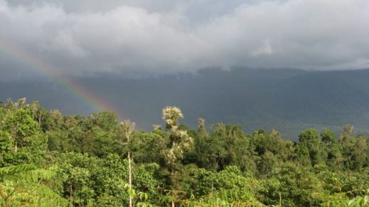 Más de la mitad del PIB mundial depende de la diversidad biológica