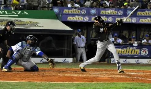 Leones Magallanes