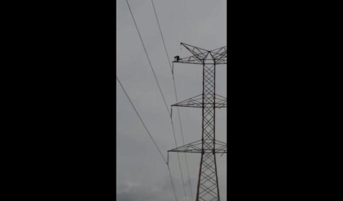 torre de alta tensión mata a joven