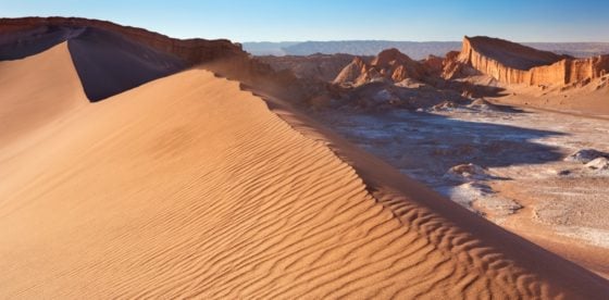 Primeras lluvias en 500 años en el Desierto de Atacama provocan devastación de especies microbianas