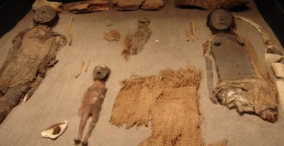 «Chinchorro, trascender a la muerte»: La nueva y notable exposición del Museo Nacional de Historia Natural