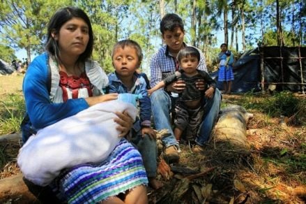 Drama social sin resolver: Familias son desplazadas por conflictos agrarios en Chiapas, México