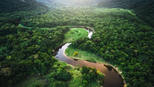 Amazonia en riesgo con la eliminación de 11 nuevas áreas protegidas en Brasil