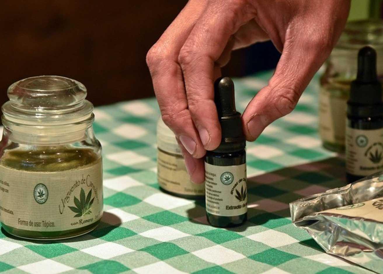 OMS Recomienda Sacar El Cannabis De La Lista De Sustancias Dañinas