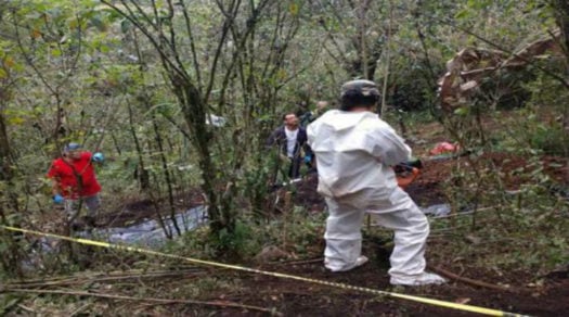 Hallan 15 cuerpos en nueva fosa clandestina en el estado mexicano de Veracruz