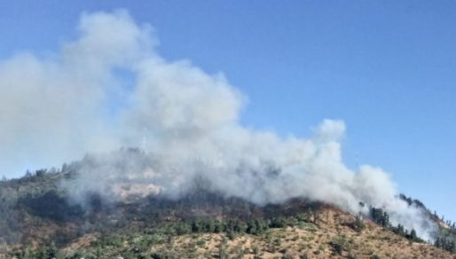 Santiago: Anuncian plan de reforestación en el Cerro San Cristóbal