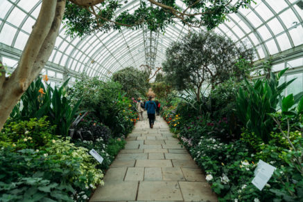 Visitar jardines botánicos puede ser una cura más poderosa que cualquier medicamento