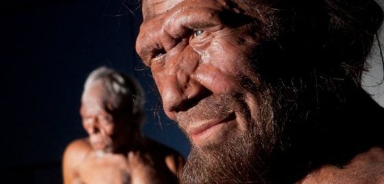 El cambio climático habría empujado a los Neandertal al canibalismo