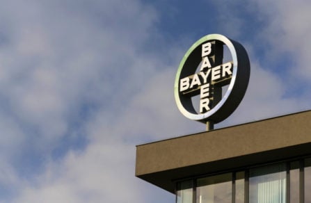 Advierten sobre la construcción en Chile de la mayor fábrica de semillas de Bayer-Monsanto de Latinoamérica