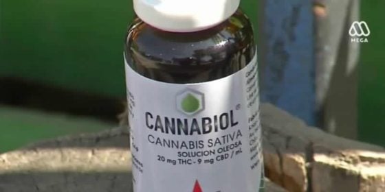 «Cannabiol»: Medicamento en base a cannabis ya está disponible en farmacia popular de Rengo