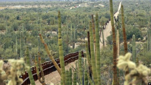 Muro fronterizo de EE. UU. amenaza la vegetación de un parque nacional y la vida silvestre