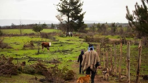 Congreso: Preocupación por exposición de director de la Conadi sobre fiscalización de tierras indígenas