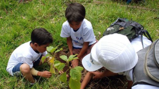 Plan Verde: Ecuador lanza programa de reforestación para su ecosistema