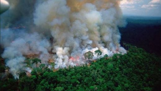 ONU exhorta a Brasil a cumplir con sus acuerdos ambientales y tomar acciones urgentes