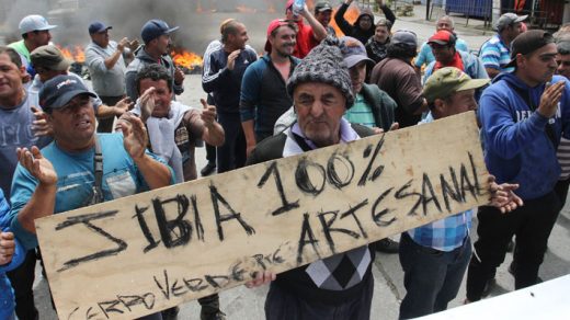 Triunfo de pescadores artesanales: Cámara rechazó aplazar entrada en vigencia de «ley de la jibia»